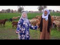 أنشودة عملت انا راعي المنشدة ندي محمود mp3