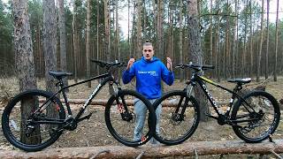 Winner Solid DX 2020 vs Cyclone AX 2020 | есть ли разница