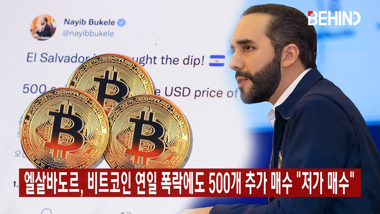 엘살바도르, 비트코인 연일 폭락에도 500개 추가 매수 