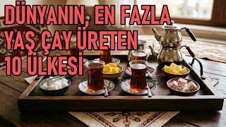 Dünyanın, En Fazla Yaş Çay Üreten 10 Ülkesi Türkiye Kaçıncı Sırada? 2026