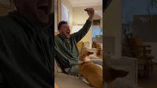 He just can’t let me eat in peace 😂 #animalvideos #dog