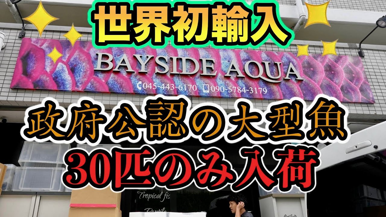 The first government-approved import into the world: a rare fish