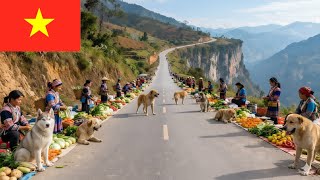Vietnam's Largest Poultry, Dog & Cat trading Market – Real Scenes