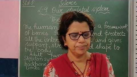 V Science Chapter 9 Our Skeletal System Part 2