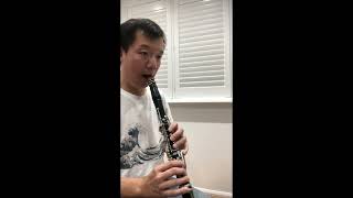 Details Mahler Symphony No.5, clarinet solos from 2nd, 3rd and 5th movement Update