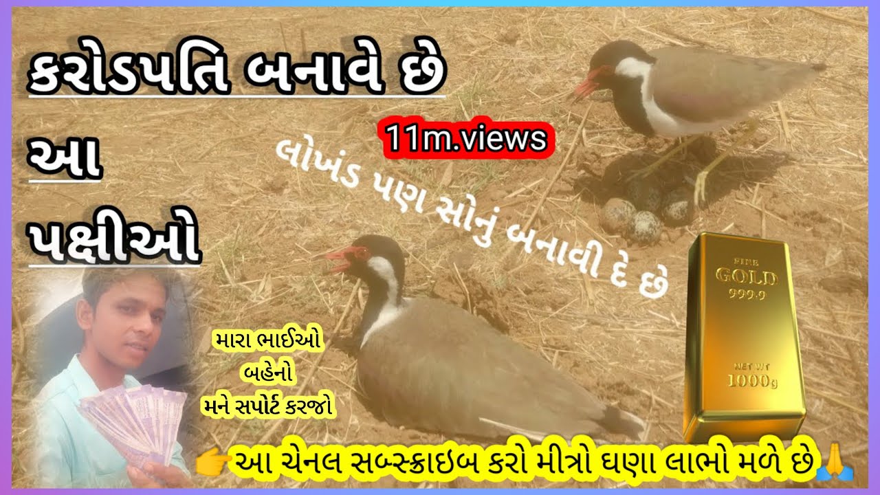 Titodi ટીટોડી 10m views
