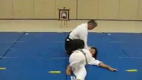 Hanmi Handachi Katatetori Shihonage Ura (static attack, front view)