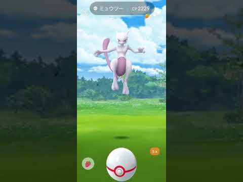 【ポケモンGO】チコリータコミュニティデイやりながら、ミュウツーレイド【ソフトバンク横須賀】