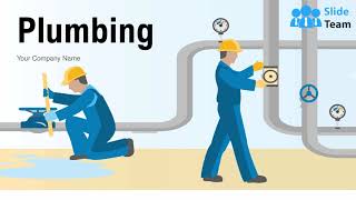 Plumbing Services Treatment Maintenance Infographic