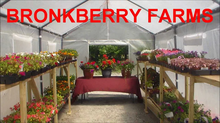 Jennifer Bronk - Bronkberry Farms