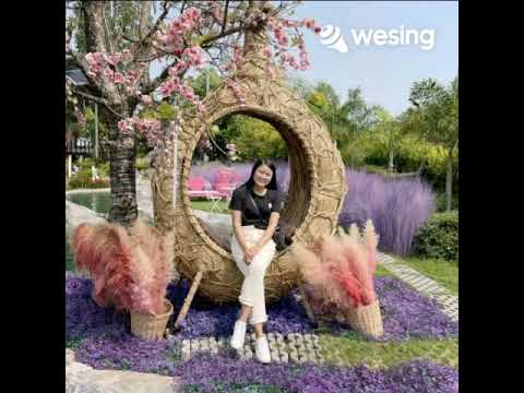วิดีโอนี้มาจาก WeSing