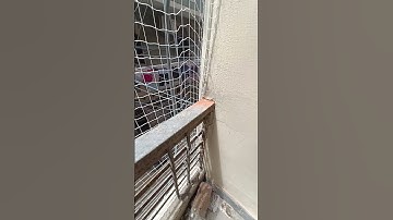 Pigeon net for balcony | lowest price Delhi ncr | Call 7840821383 #pigeonnet #birdnetting