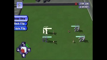 4 sims diving board death speedrun 2:24 - The Sims Bustin Out