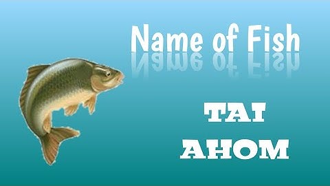 Learn Tai Ai || Aiton ||Name of Fish Part-2.
