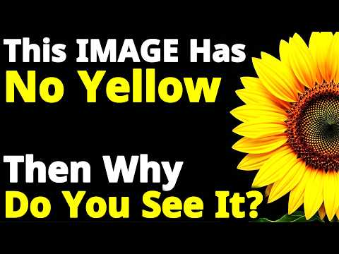 Why Your Brain Sees Colors That Don’t Exist | Physics of Color