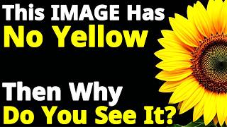 Why Your Brain Sees Colors That Don’t Exist | Physics of Color