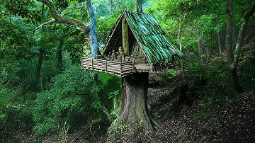 7 Days of Treehouse Building and Survival Challenge - Confronting Venomous Snakes in the Dark
