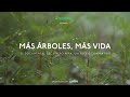 &quot;Más árboles, más vida&quot; - Estreno del Corto-Documental + Conversatorio