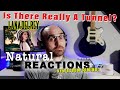 Is there really a tunnel though!? - Lana Del Rey (Natural Reactions)