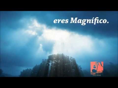 Magnifico Magnified -