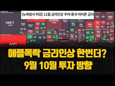   애플폭락 금리인상 한번 더 9월 10월 투자 방향