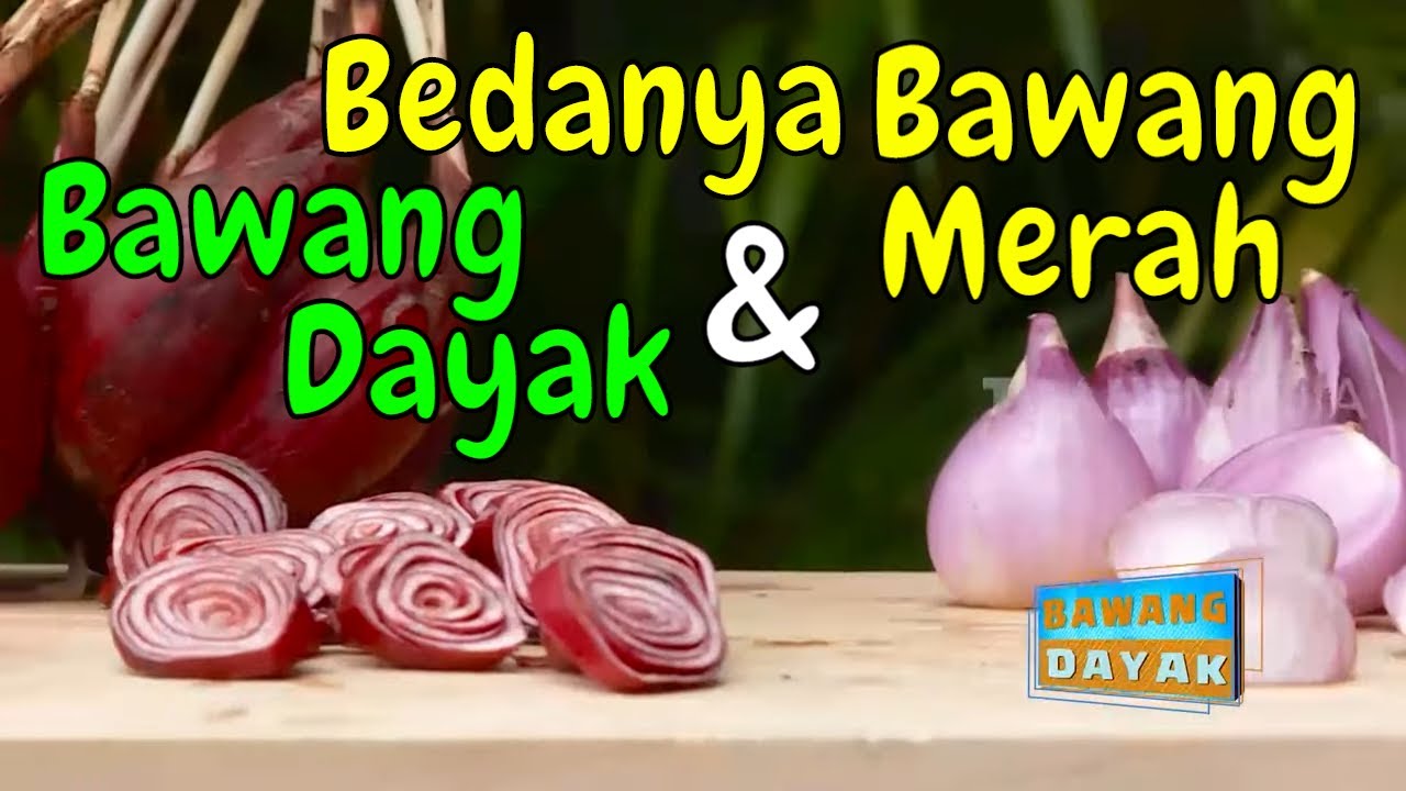 Ini Dia Perbedaan Bawang Dayak Dan Bawang Merah  SI UNYIL (25/02/20