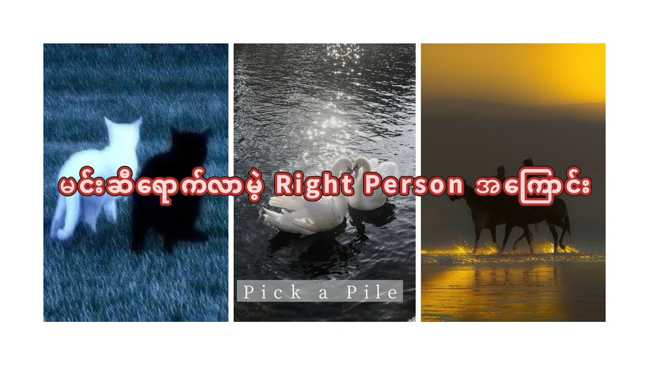 မင်းရဲ့ Right Person အကြောင်း စုံလင်စွာ 🌹🌹🌹