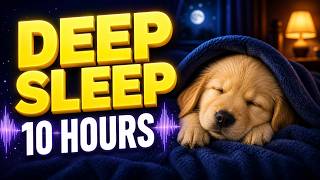 10 HOURS Deep Sleep Music for Dogs 🐕 Delta Waves 2Hz (Fall Asleep Fast)