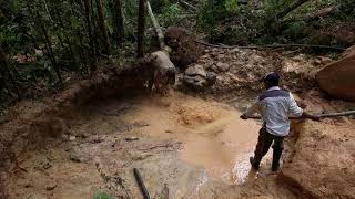 Fruits of Amazonia apoyando a asociaciones ex-mineras con conciencia ambiental