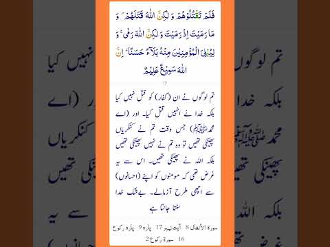 Surah Al Anfal Ayat 17 