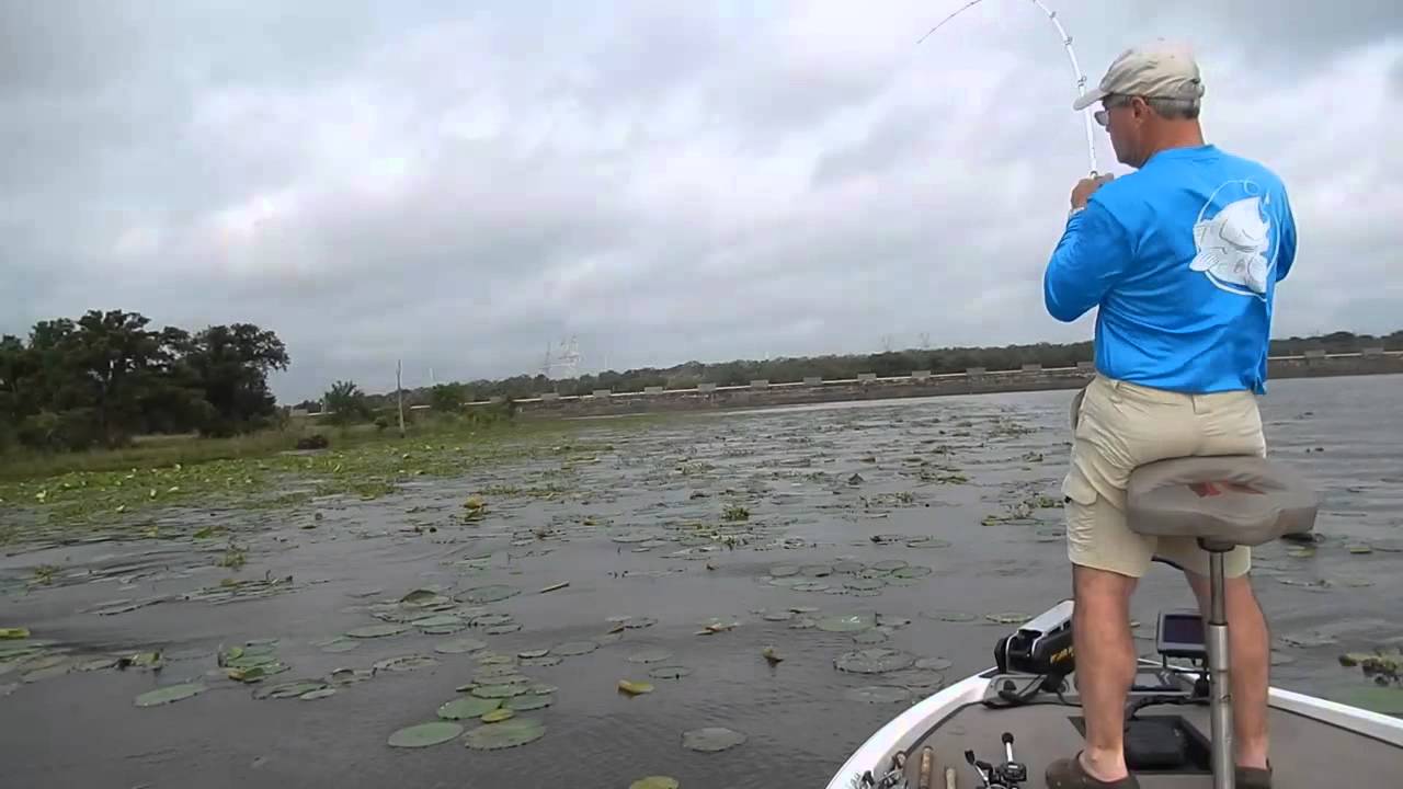 Derienni Outdoors - Stanley Top Toad Shoot #2
