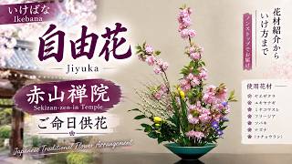 Ikebana/Ikenobo] Free-Style Arrangement: Memorial Flower Offering