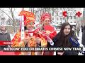 Moscow Zoo Celebrates Chinese New Year