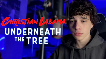 Underneath the Tree - Kelly Clarkson (Christian Lalama Cover)