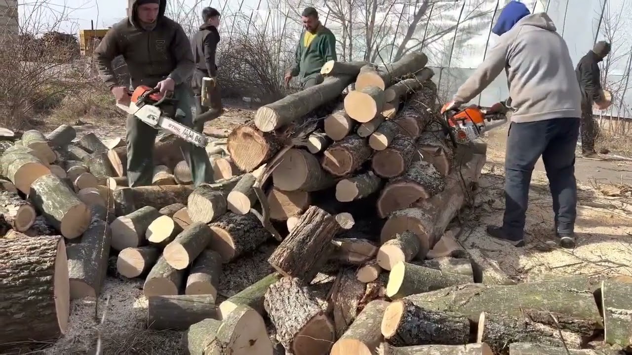 Heavy Duty Cutting | Oak & Ash