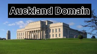 Auckland Domain | Auckland #viral #trendingshorts #youtubeshorts #newzealand #explore #placestovisit