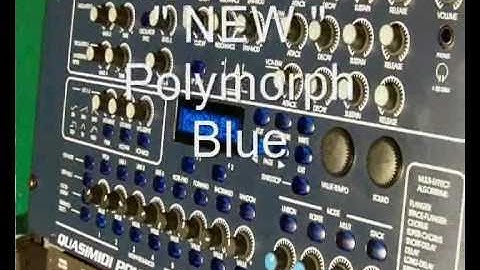 Polymorph in Blue and New !