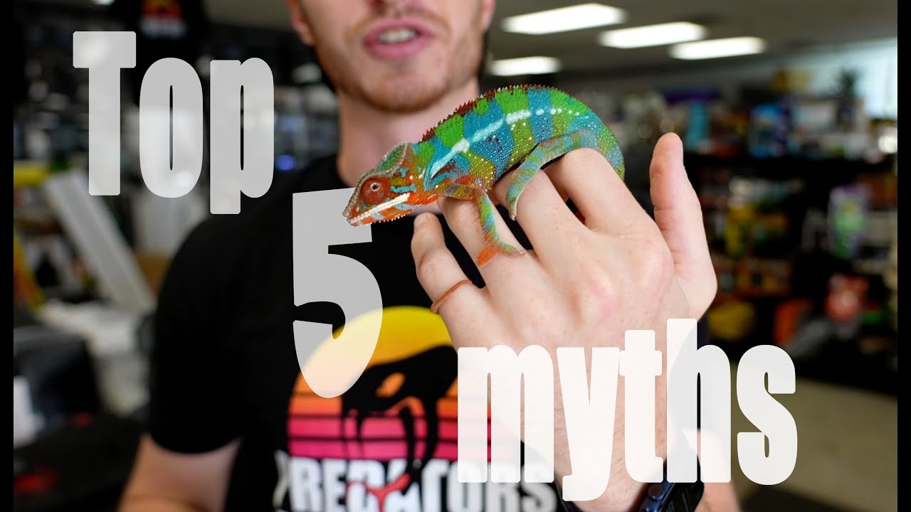 5 Predator myths Debunked.