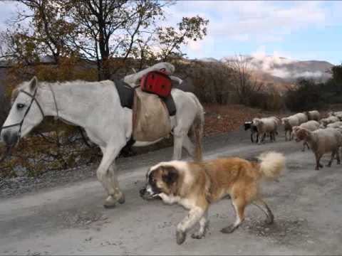 3 თვე 3 წუთში