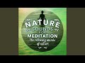 Capture de la vidéo Relaxation (New Age) (Nature)