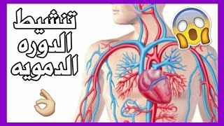 ازاي تنشط الدوره الدمويه