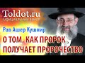 Рав Ашер Кушнир. О том, как пророк получает пророчество. ДЕРЕХ АШЕМ 68