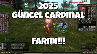 Bu Farm Bu Kadar Kazandırmaz DEDİLER… Cz Cardinal Farmı!