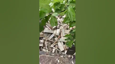 Какими дровами чистить дымоход?!