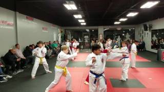 ATA Taekwondo Testing