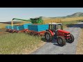 Tractor Train with Five Trailers -Canola & Corn & Barley Handling Several Combine Harvesters at Once