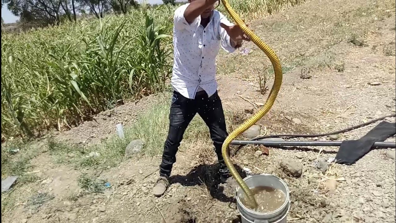 nagbibilang ng poste Rescue Indian Rat snake from Khandala gaon, Ahmednagar | धामण सांप (बिष हिन) रेस्क्यू अहमदनगर