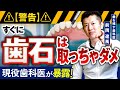 【暴露】気軽な歯石取りの決定的なリスクと全身への悪影響をプロが解説【歯科医】