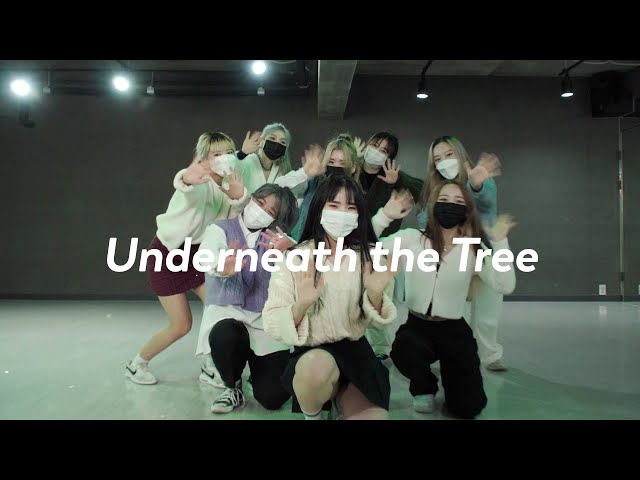 Kelly Clarkson - Underneath the Tree / imnew dancers class=