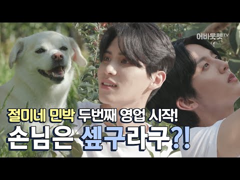 (예고)절미가 돌아왔다🍎 사과밭에 놀러=일하러 온 셒구(SF9) with 자몽🐾ㅣ절미네민박 시즌2